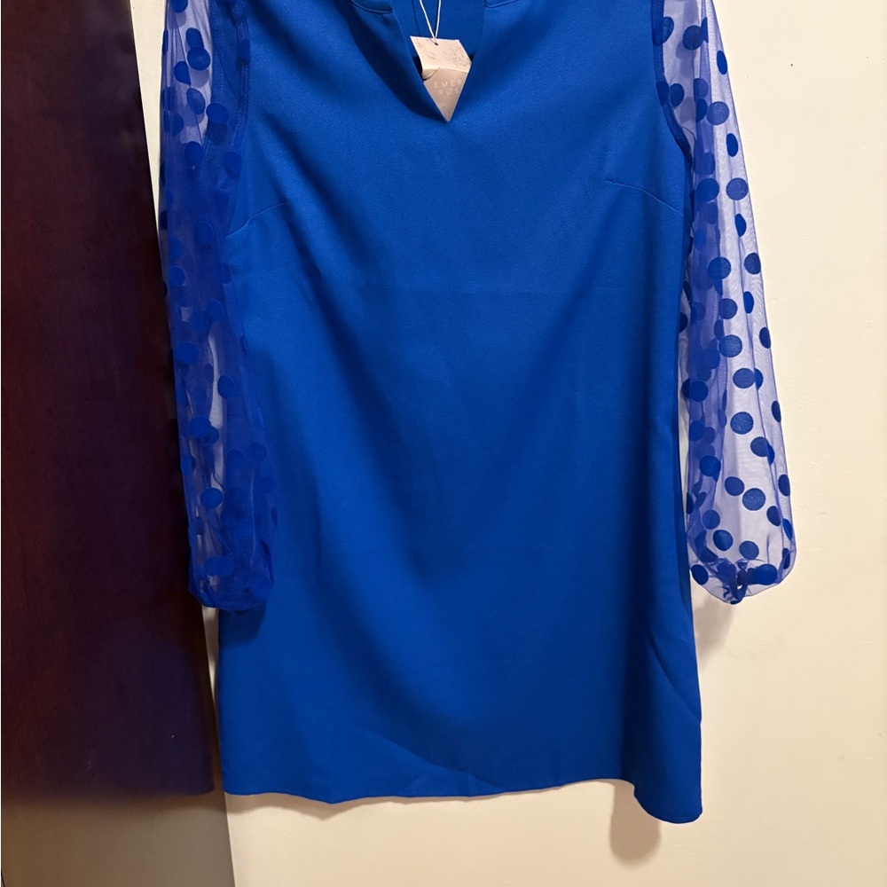 Blue Dress with Sheer Polka Dot Sleeves